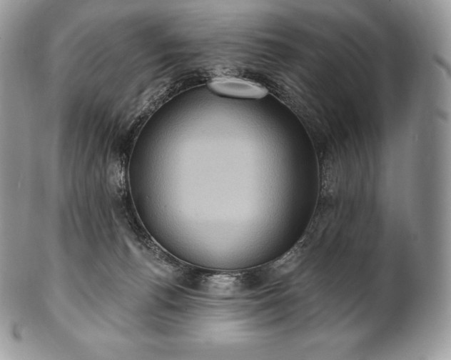 X0000101160176200807071207