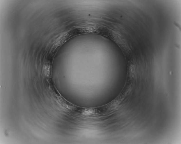 X0000101160177200807071207