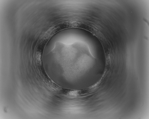 X0000101160178200807071207