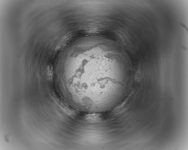 X0000101160179200807071207