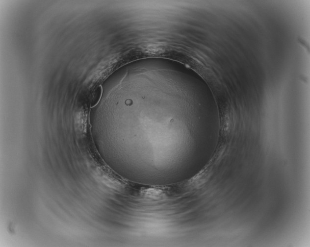 X0000101160180200807071207