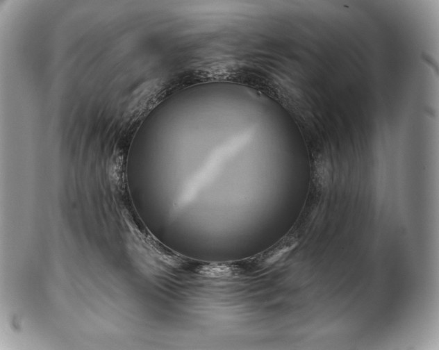 X0000101160181200807071207