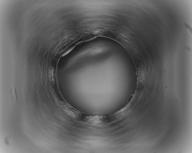 X0000101160182200807071207