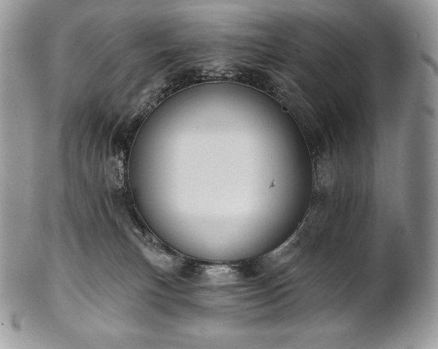 X0000101160183200807071207