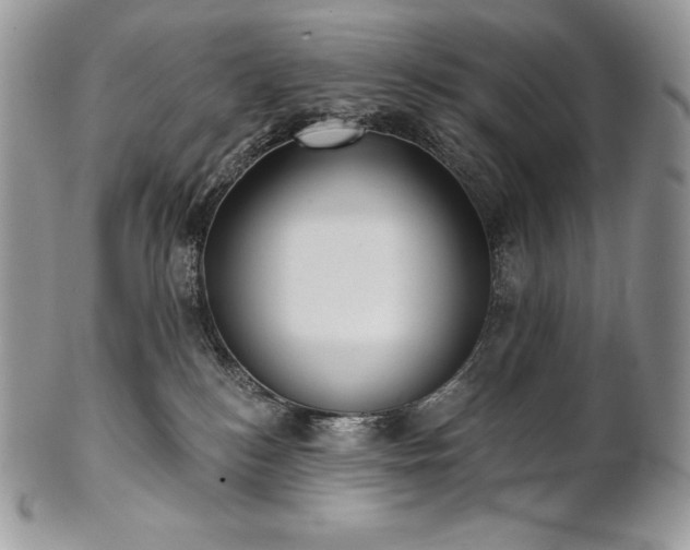 X0000101160184200807071207