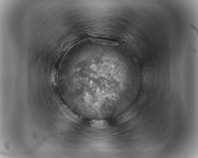 X0000101160185200807071207