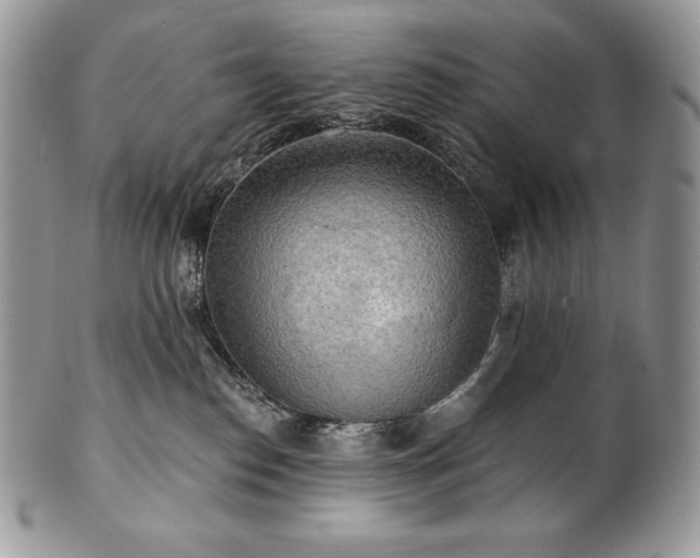 X0000101160186200807071207