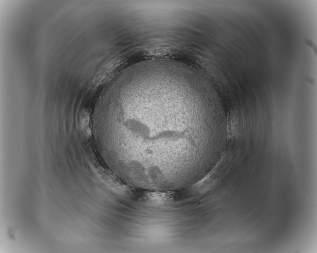 X0000101160187200807071207