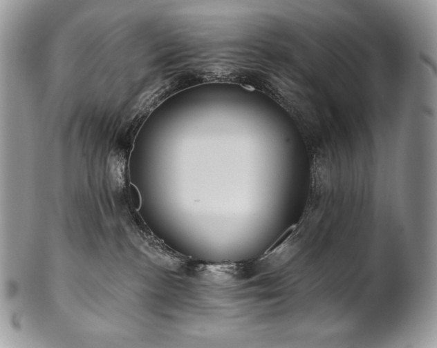 X0000101160188200807071207