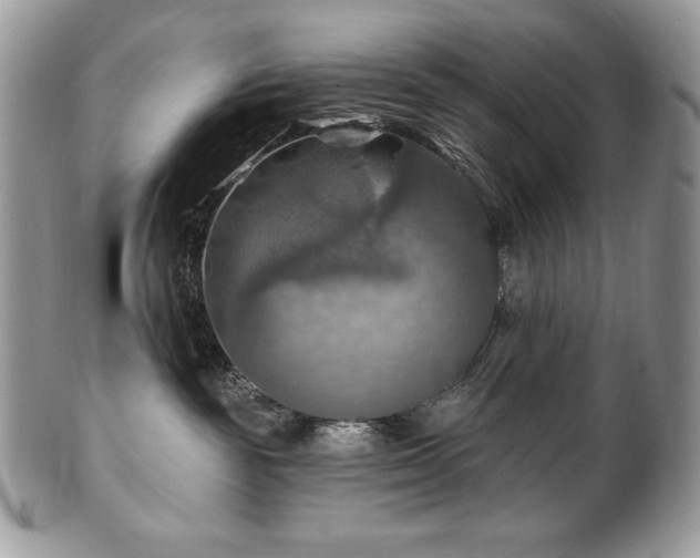 X0000101160189200807071207