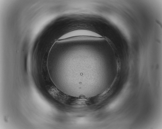 X0000101160190200807071207