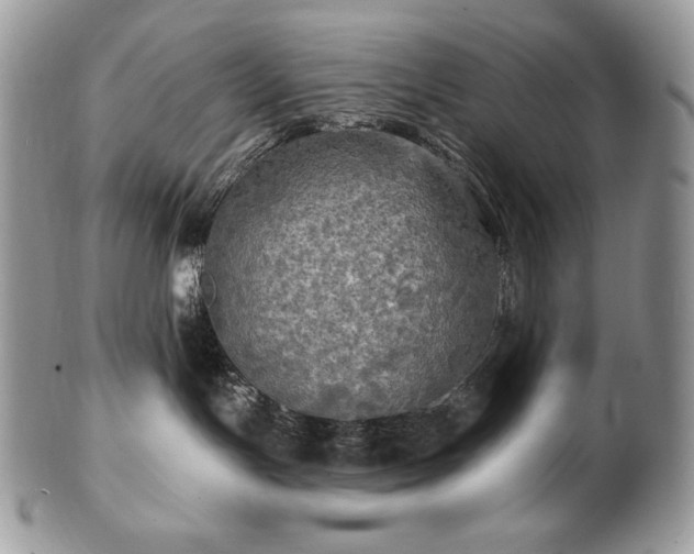 X0000101160191200807071207