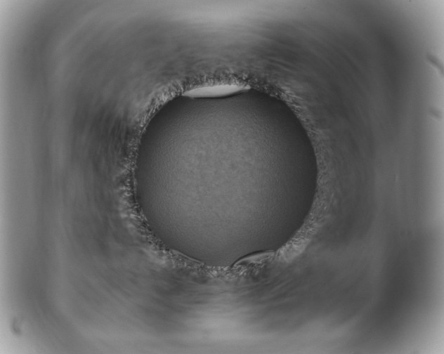 X0000101160192200807071207