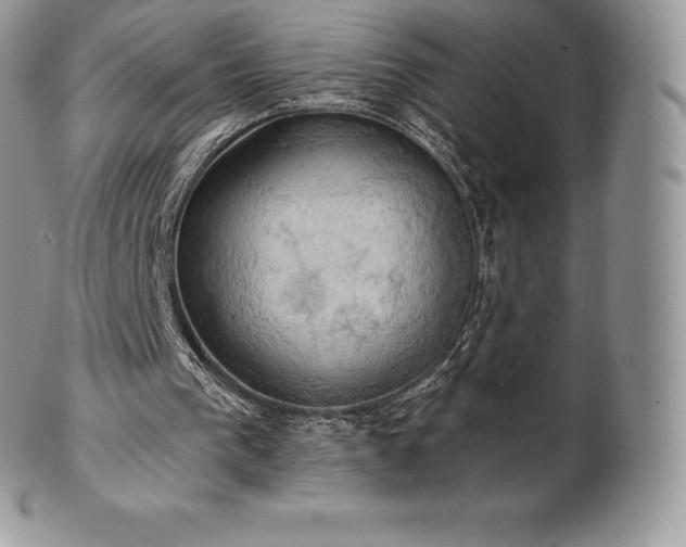 X0000101160193200807071206