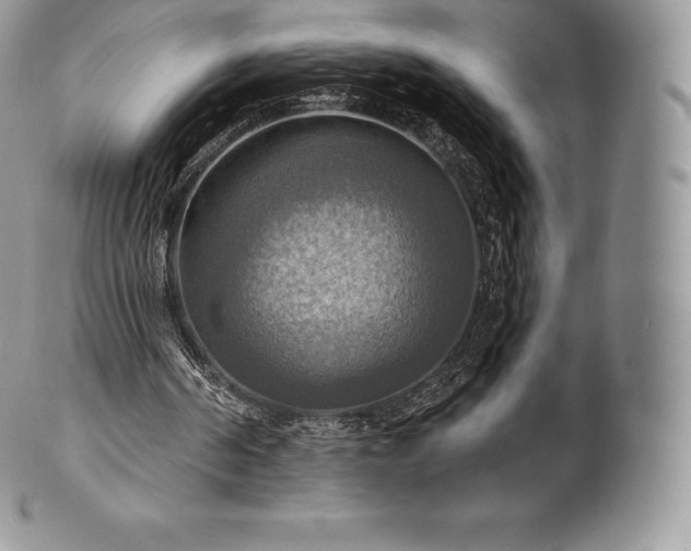 X0000101160194200807071206