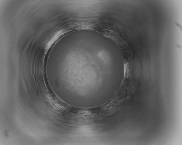 X0000101160195200807071206