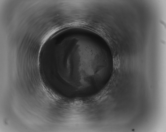 X0000101160196200807071206