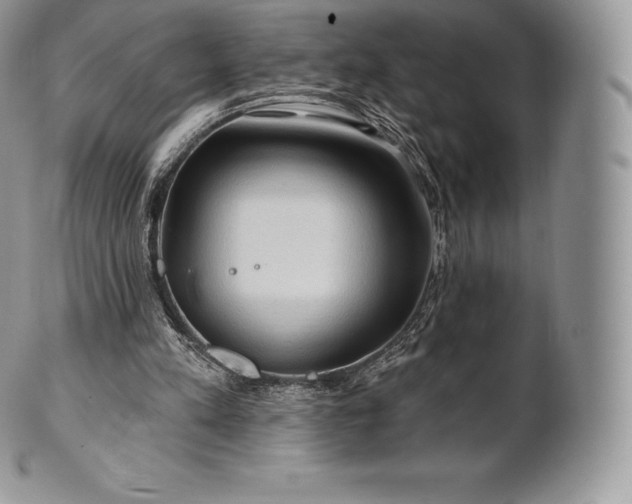 X0000101160197200807071206