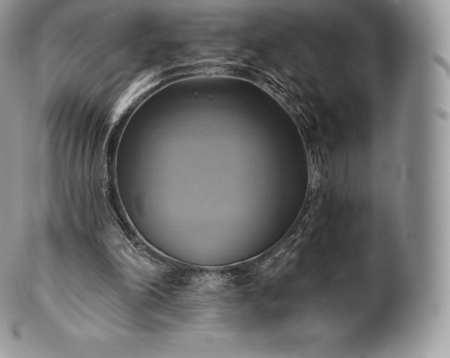 X0000101160198200807071206