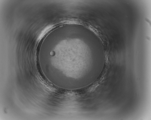 X0000101160199200807071206