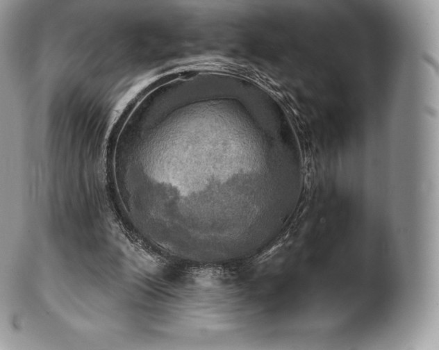 X0000101160200200807071206