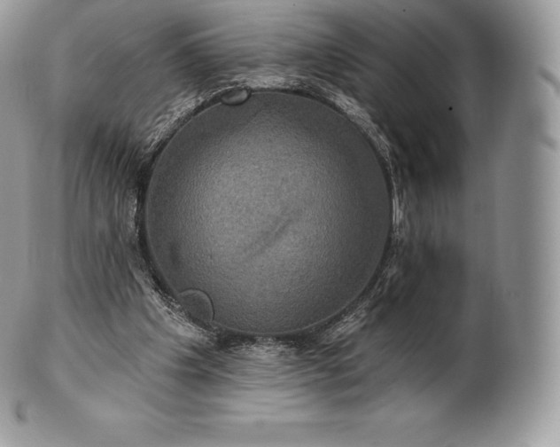 X0000101160201200807071206