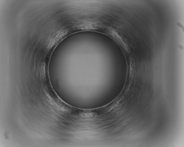 X0000101160202200807071206