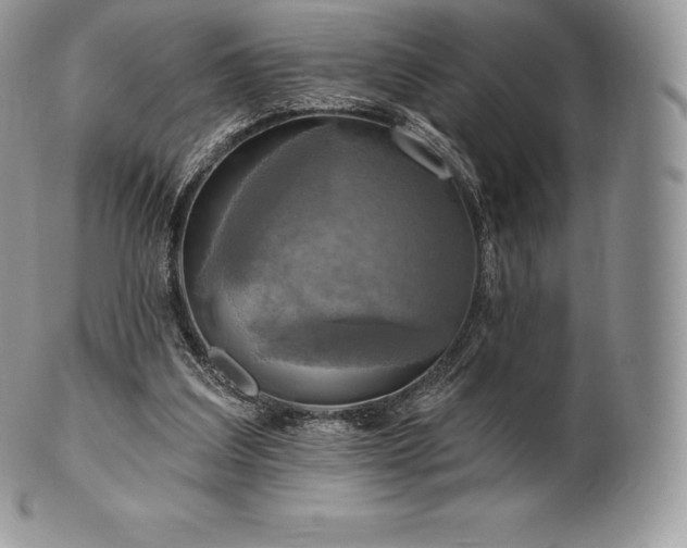 X0000101160203200807071206