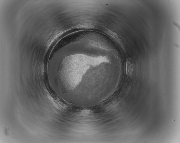 X0000101160204200807071206