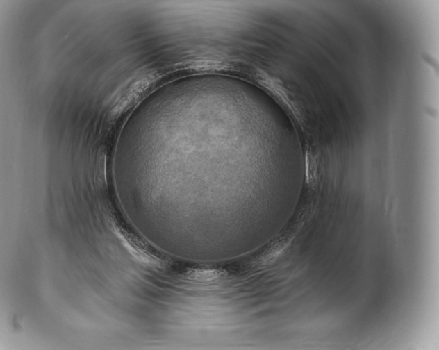 X0000101160205200807071206