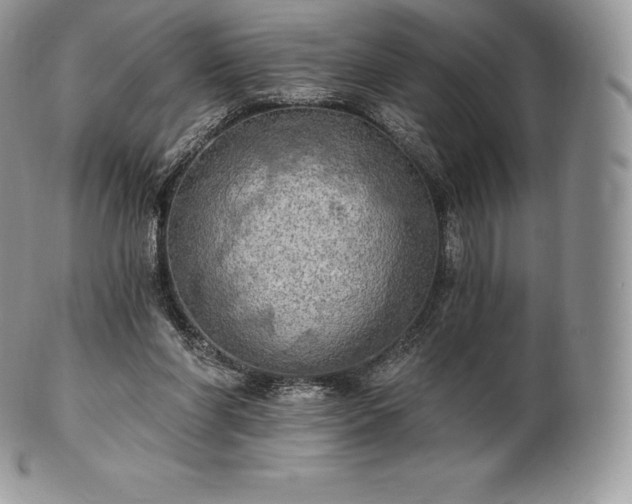 X0000101160206200807071206