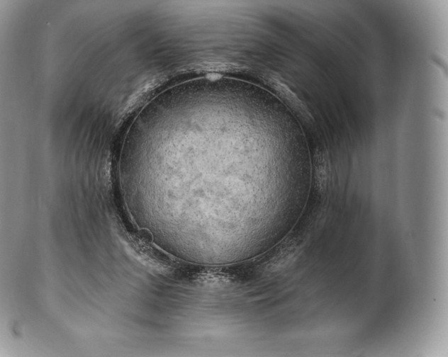 X0000101160207200807071206