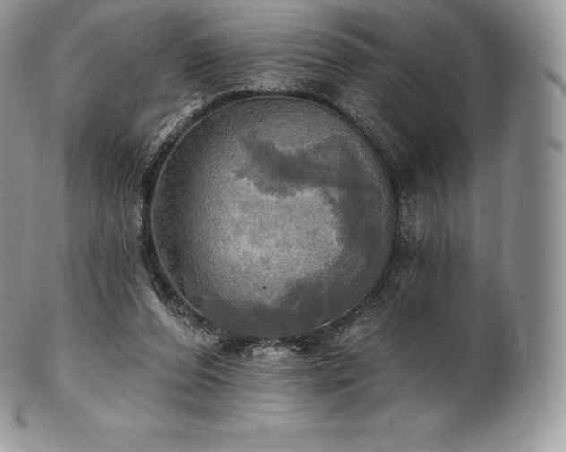 X0000101160208200807071206