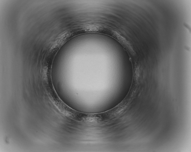 X0000101160209200807071206