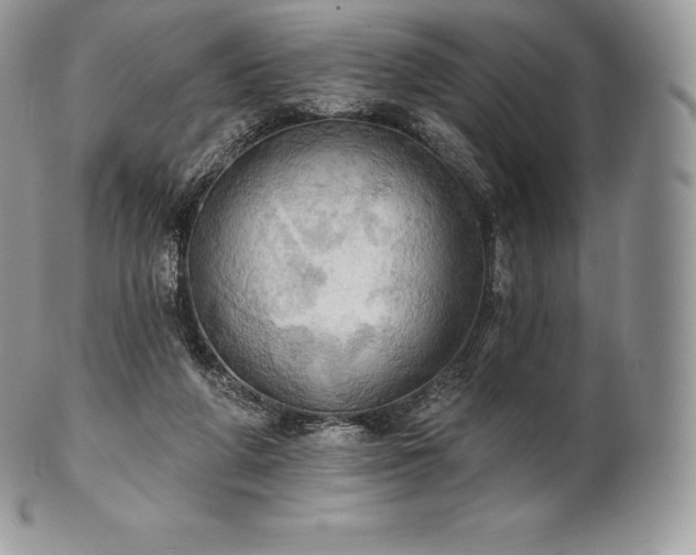 X0000101160210200807071206