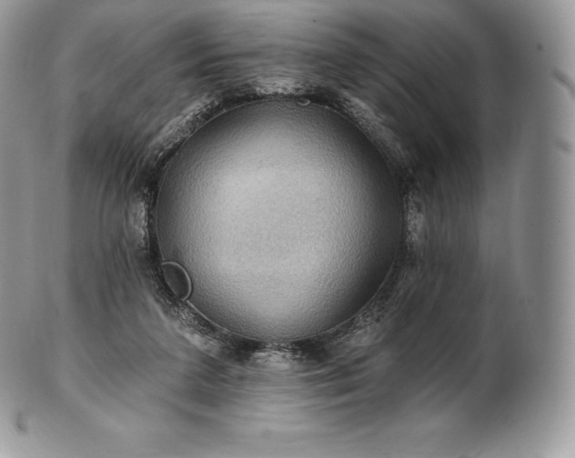 X0000101160211200807071206