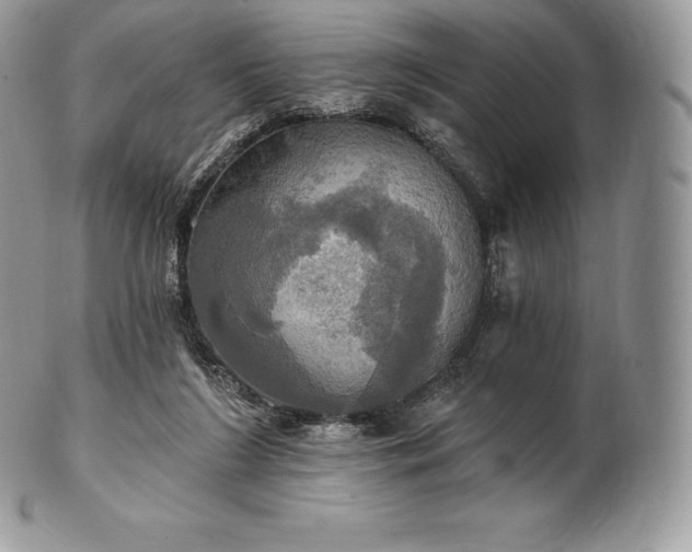 X0000101160212200807071206