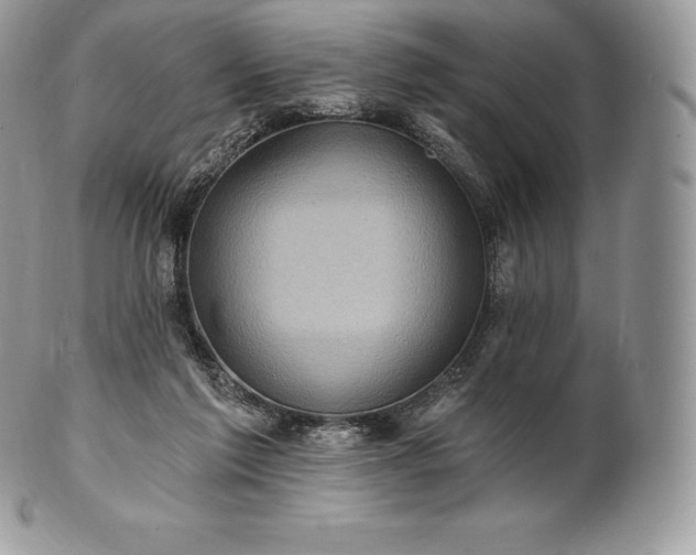 X0000101160213200807071206