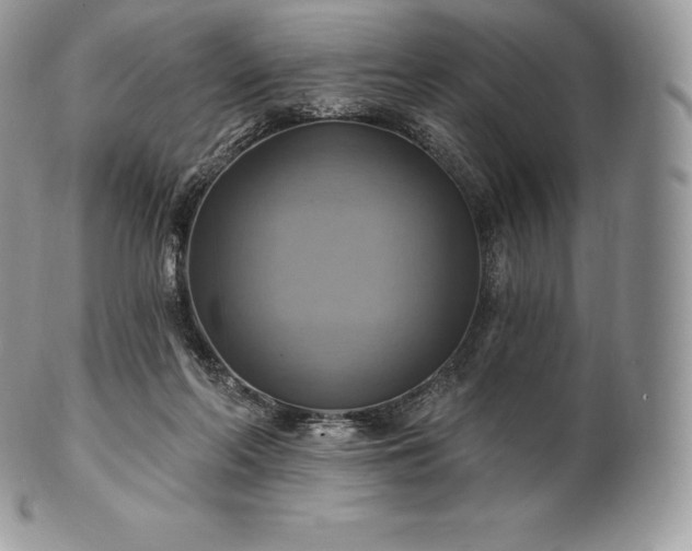 X0000101160214200807071206