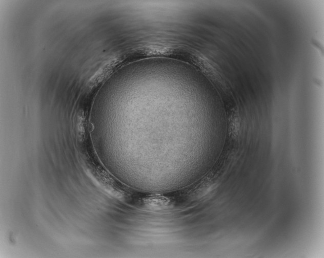 X0000101160215200807071206