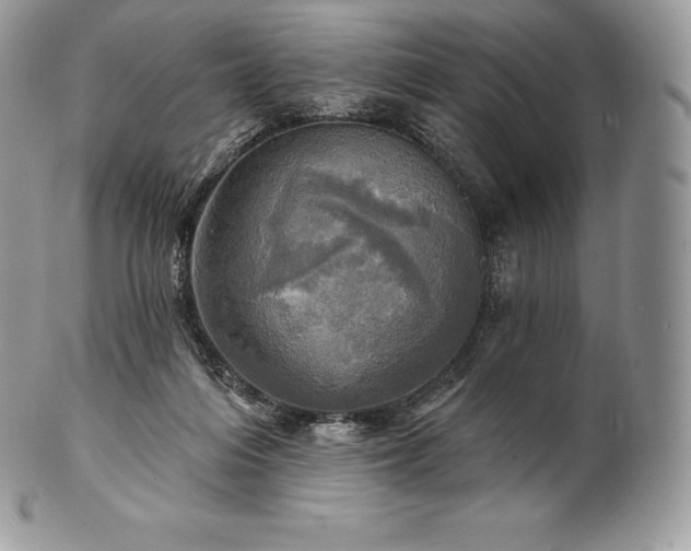 X0000101160216200807071206