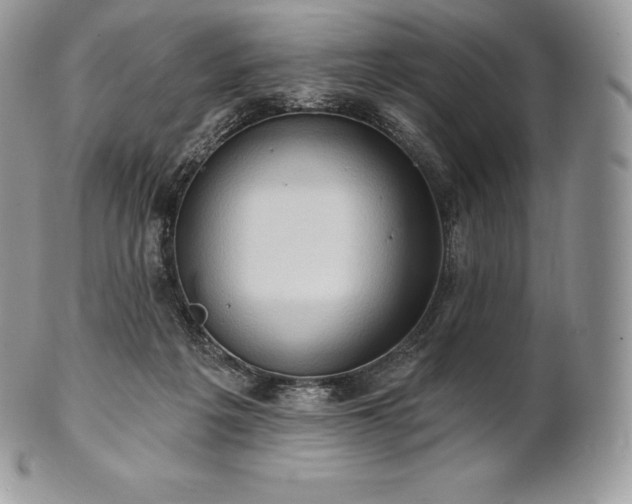 X0000101160217200807071206