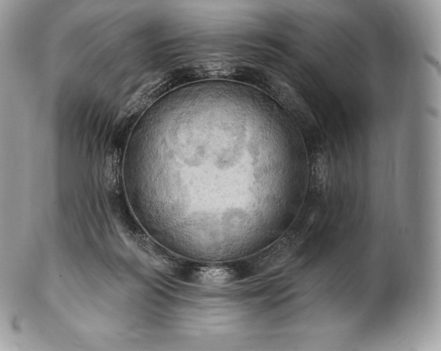 X0000101160218200807071206