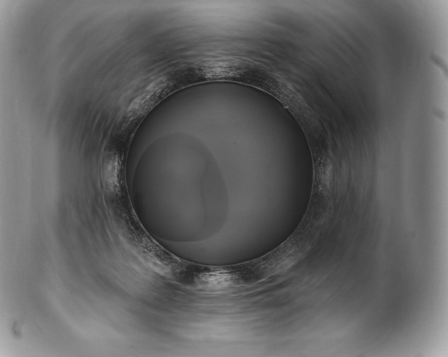 X0000101160219200807071206