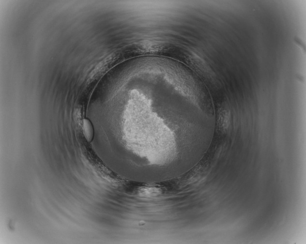 X0000101160220200807071206