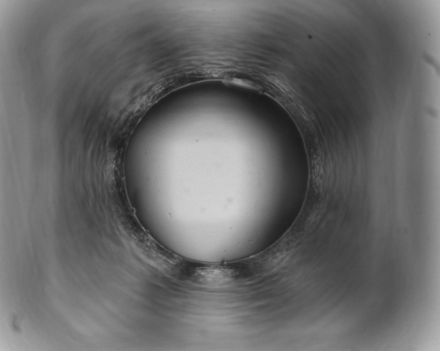 X0000101160221200807071206