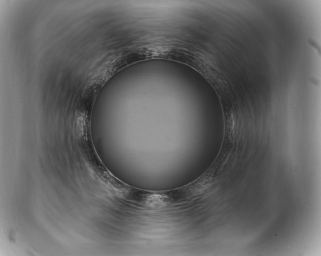 X0000101160222200807071206