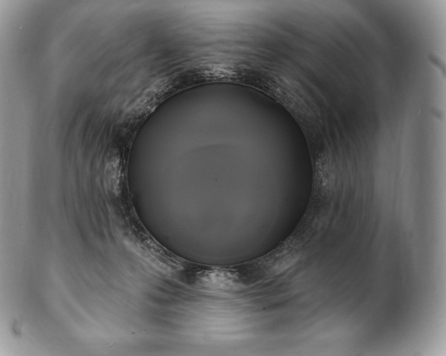 X0000101160223200807071206