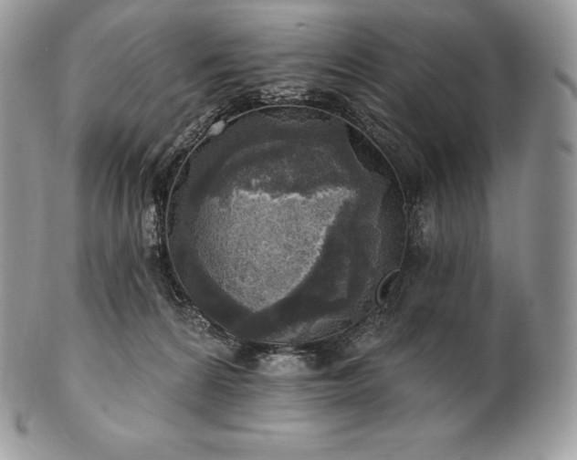 X0000101160224200807071206