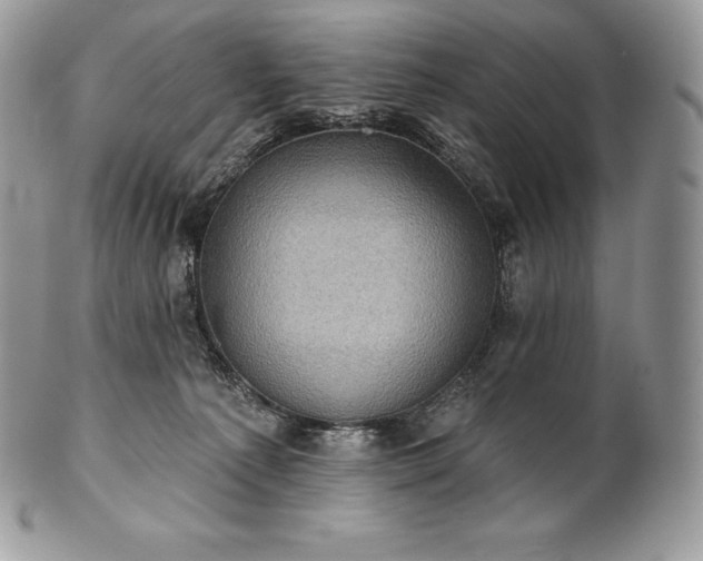 X0000101160225200807071206